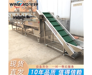 毛辊清洗机 红薯清洗机 土豆清洗机