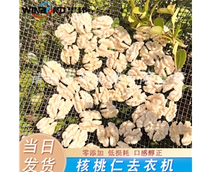 质优价廉 脱皮核桃仁机器 华邦核桃仁去皮机