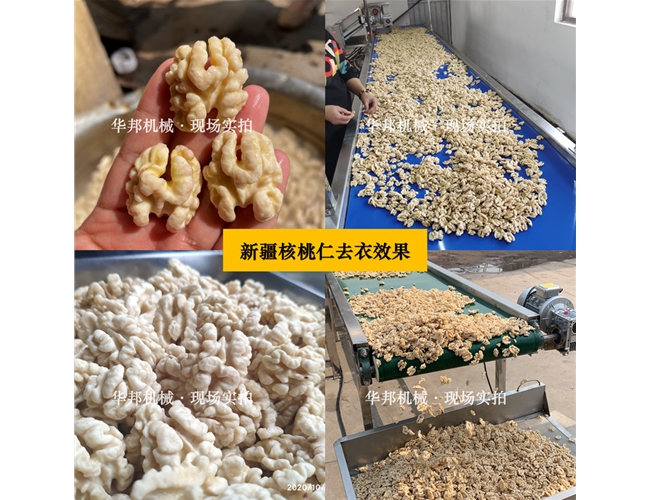 新疆核桃仁去皮机 任意品种核桃仁去皮设备 华邦坚果仁去皮机