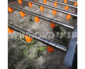 速冻蔬菜加工流水线 香菇漂烫机 厂家定制